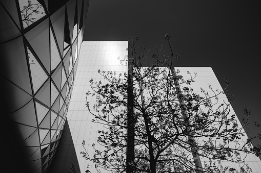 Leipzig, Saxony, Germany - May 12, 2023: Black and white architecture photography, the building of the GERMAN MUSIC ARCHIVE, and the German Museum of Books and Writing in Leipzig. Original name: Fotospot Musikarchiv Leipzig and Deutsches Buch- und Schriftmuseum. This house is on the street Deutscher Pl. 1. Geometric composition, lines of building exterior and abstract construction of modern facade