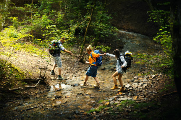 istock Friends hiking through woods. 1499170970