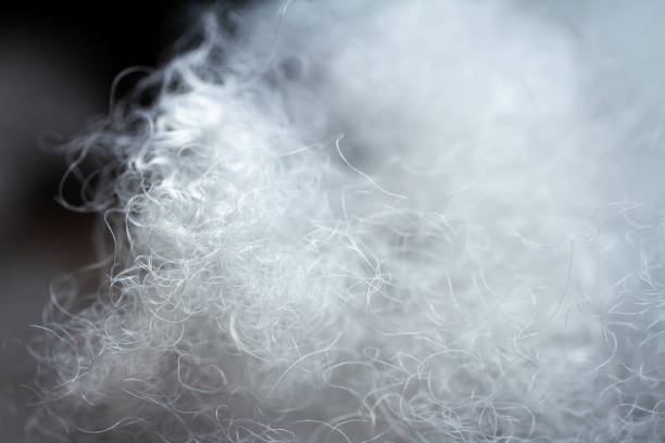 istock Extreme macro of polyester stable fiber 1499171135
