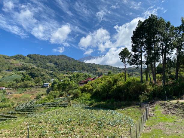 istock The countryside view, Beautiful green valley with mountains 1499174792