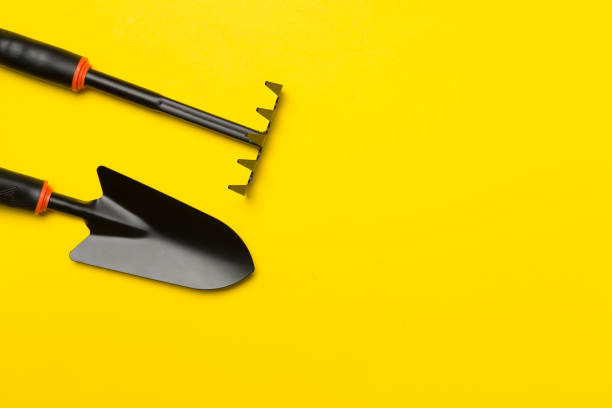 istock Gardening tools on color background, top view 1499176415