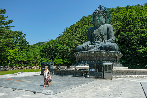 Sokcho, South Korea - June 17, 2023: Buddha statue at Sinheungsa Temple located in Seoraksan National Park, Sokcho, South Korea.