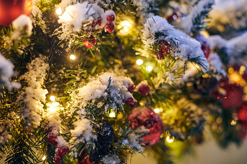 Natural christmas tree with christmas lights and lighted star on top during dawn is standing out in the snow and has snow on the branches. The scene is in a frozen blue color.