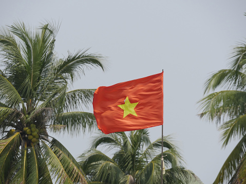 Vietnam, Quang Nam Province, Hoi An City, Old City listed at World Heritage site by Unesco, Vietnamese Flag