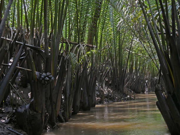 istock vietnam, Mekong Delta, Landscape 1499182681