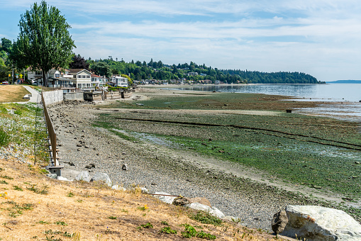 Homes along the shore in Weest Seattle, Washington. at low tide.