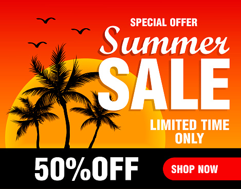 Special offer summer sale limited time only. Summer sale banner. Vector illustration