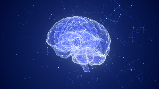 brain technology, represented by BCIs, aims to establish direct communication between the brain and external devices, while plexus from AI, represented by ANNs, refers to the interconnected networks of artificial neurons used for computational tasks