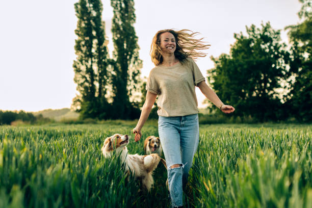 donna felice soddisfatta che corre in un campo con i suoi cani - field dog pets green foto e immagini stock