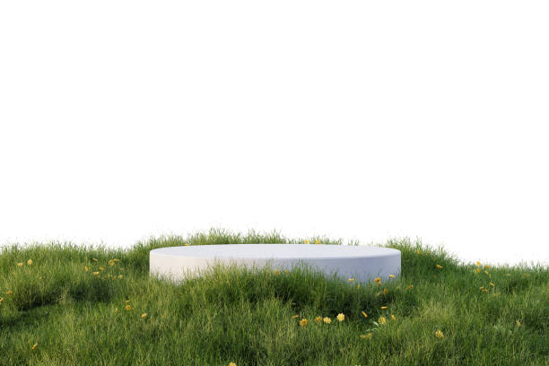 istock Mock up podium with floral ground  isolated on white background, 3d illustration. 1499219865