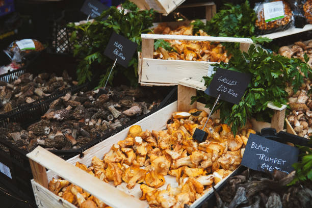istock Food in the market 1499225675