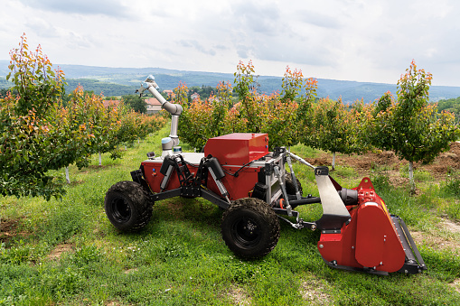 Autonomous agricultural robot with robotic arm. Smart farm concept