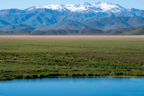 layered view of water, plains and mountain ranges. Blue water in the foreground, flat plain with green to yellow transitions in the middle, image of the mountain range covered with snow in the background. Shot with a full-frame camera in daylight.