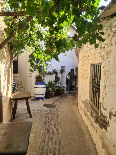 istock Andalusia village 1499231611