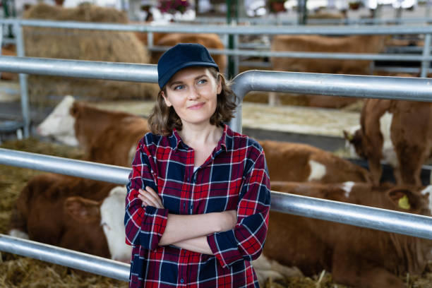 istock Woman farmer at a dairy farm 1499231971