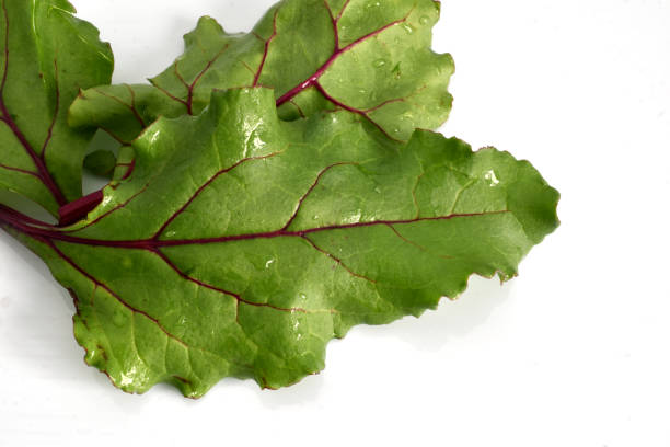 Red beet leaves lie on a white table.