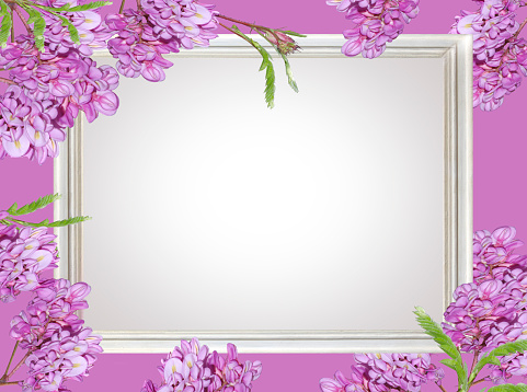 White background in a frame on a background of purple acacia flowers.