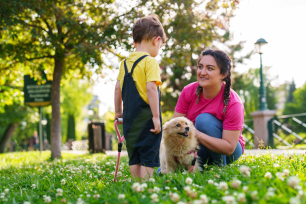 istock Mother and son with their dog in a park 1499236564