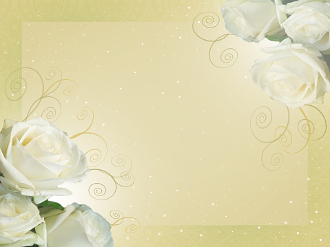 card with white roses on a light pastel pastel background.