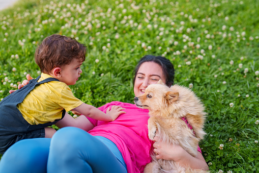 Mother and son with their dog in a park