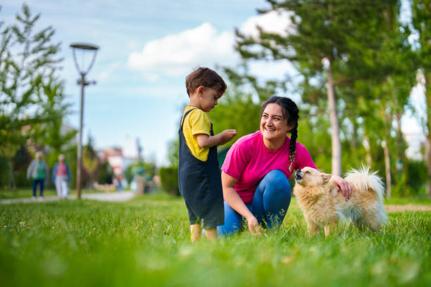 istock Mother and son with their dog in a park 1499236827