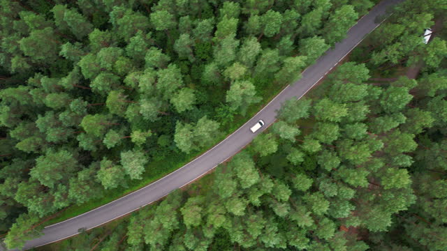 Express Delivery Shipping Service. Aerial View White Van Driving Down an Asphalt Road Crossing Vast Forest on Summer Day. Aerial Shot of Car Driving on Road in Pine Tree Forest. Scenic Landscape.