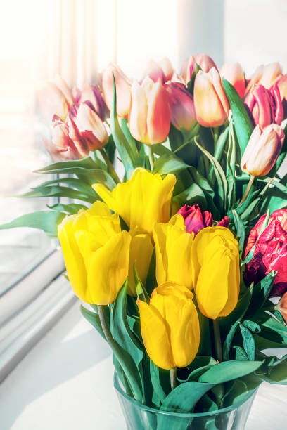 istock Multicolored tulips stand on the window in a glass vase 1499244361