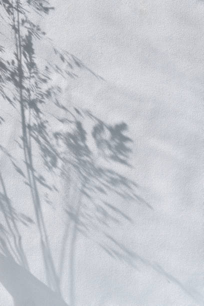 istock Aesthetic bohemian light blue textile background with floral sunlight shadows, meadow grass silhouette on curtain 1499245670