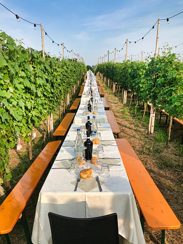 dinner under the stars among the rows of a Piedmontese vineyard