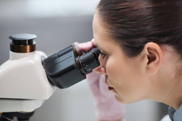 istock Side view female scientist looking in microscope in laboratory 1499247600