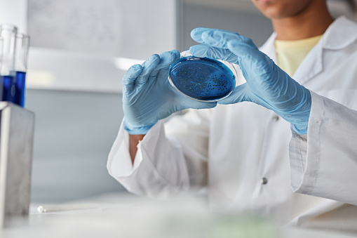 Close up of female scientist holding petri dish with blue liquid while doing research in laboratory, copy space