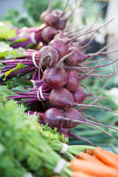 barbabietole al mercato contadino - farmers market agricultural fair agriculture beet foto e immagini stock