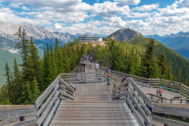 серная горная тропа, банф, канада - banff gondola стоковые фото и изображения