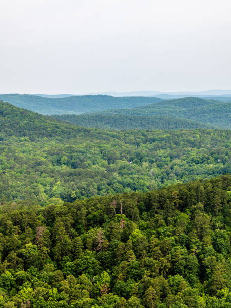 Wooded mountains of Hot Springs National Park