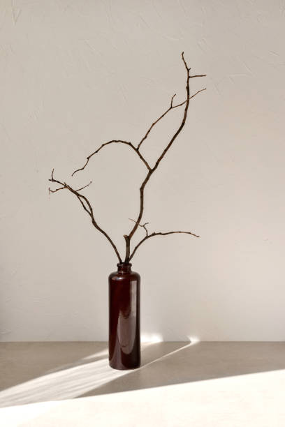 Minimalist aesthetic home interior decor, brown vase with dried branches on table with sunlight shadows, elegant neutral still life, empty white concrete wall with copy space