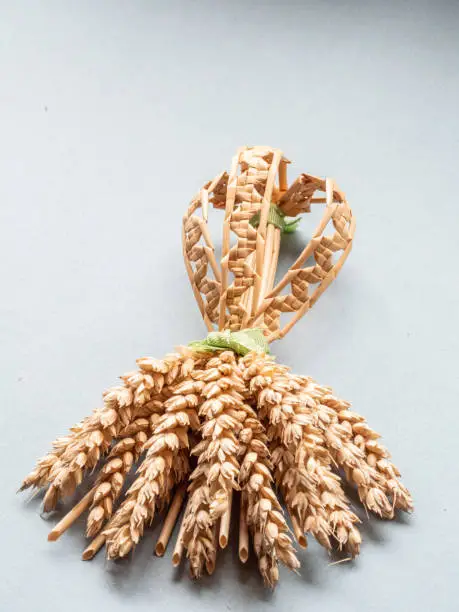 Handmade English 'Ric Rac Chain Dolly' corn dolly also known as 'Corn Mothers', 'Corn Dolls' or 'Corn Maidens' made from wheat to celebrate the harvest being completed.
