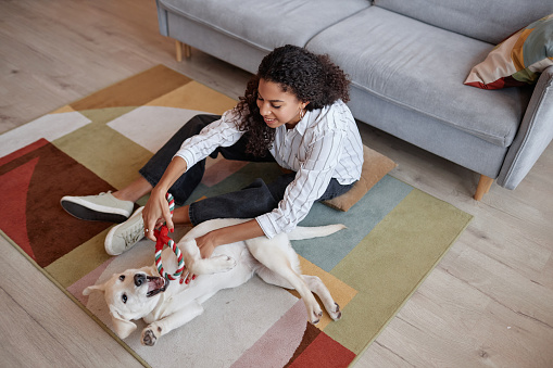 High angle portrait of smiling black woman playing with dog on floor at home, copy space