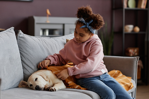 Portrait of little black girl caring for cute dog sleeping on sofa at home and covering with blanket, copy space