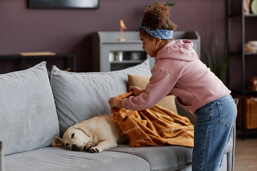 Portrait of caring black girl putting blanket over cute dog sleeping on sofa at home, copy space