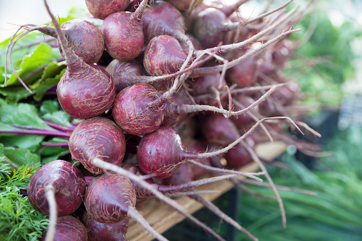 Bunches of fresh red beets on display at a farmer's market.