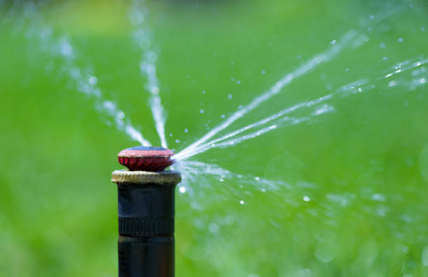 istock Irrigation system in home garden. Automatic lawn sprinkler watering green grass. Selective focus. 1499254605