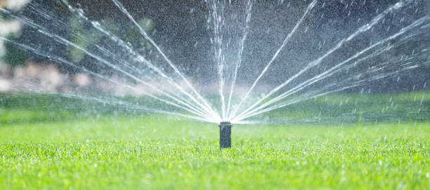istock Irrigation system in home garden. Automatic lawn sprinkler watering green grass. Selective focus. 1499254651