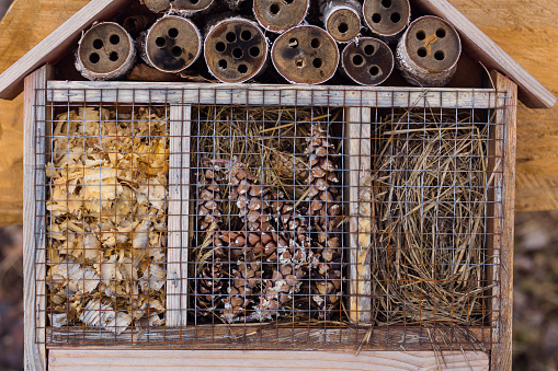 Closeup of an insect hotel