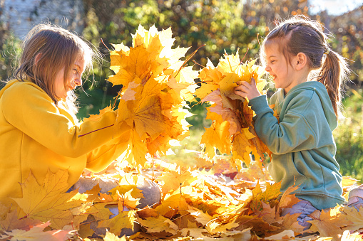 Girls kids playing jumping on trampoline with autumn leaves. Bright yellow orange maple foliage. Children walking, having fun in fall backyard. Outdoor funny happy season family activity, autumn park.