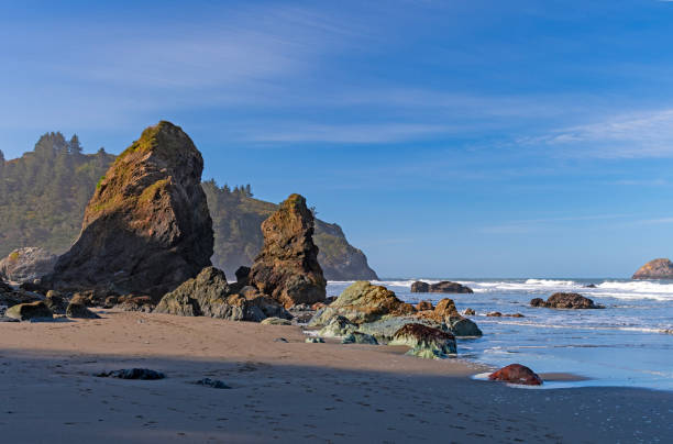 ローキービーチの朝の光 - humboldt county california coastline island ストックフォトと画像