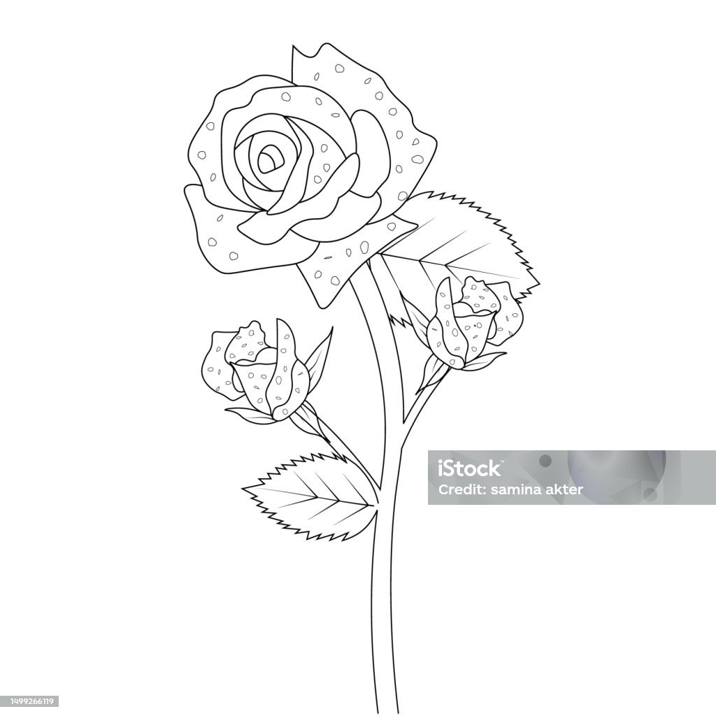 My Image 26