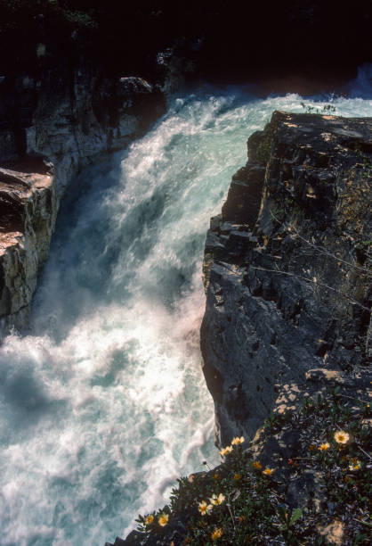 istock Kootenay NP - Marble Canyon - Waterfall Close-up - 1989 1499266486
