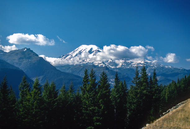 istock Mount Rainier NP - Mt. Rainer Distant View - 1983 1499266639