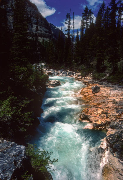 istock Kootenay NP - Marble Canyon - Waterfall & Rapids - 1989 1499268359