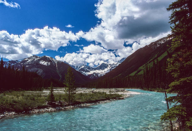 istock Kootenay NP - Kootenay River & Mountains Beyond - 1989 1499268540